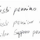 TEST pennini TWSBI VS Sailor Sapporo.jpg